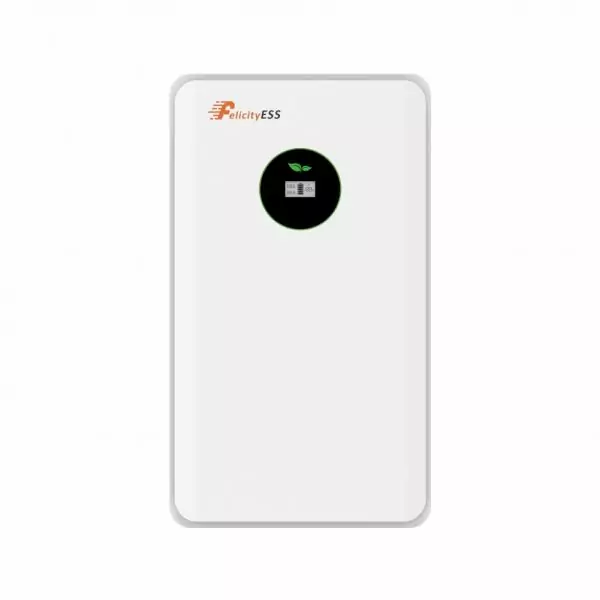 Акумуляторна батарея (LiFePO4 51,2V 100Ah 5kWh) LUX-E-48100LG031 Felicity
