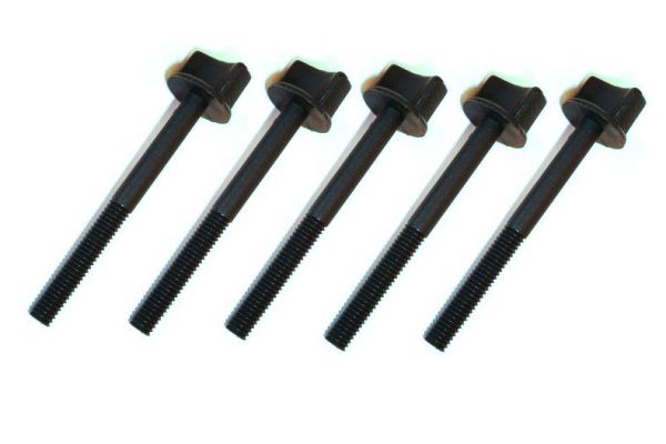 Нейлонові гвинти 5 шт Haoye M6 60мм (чорний)